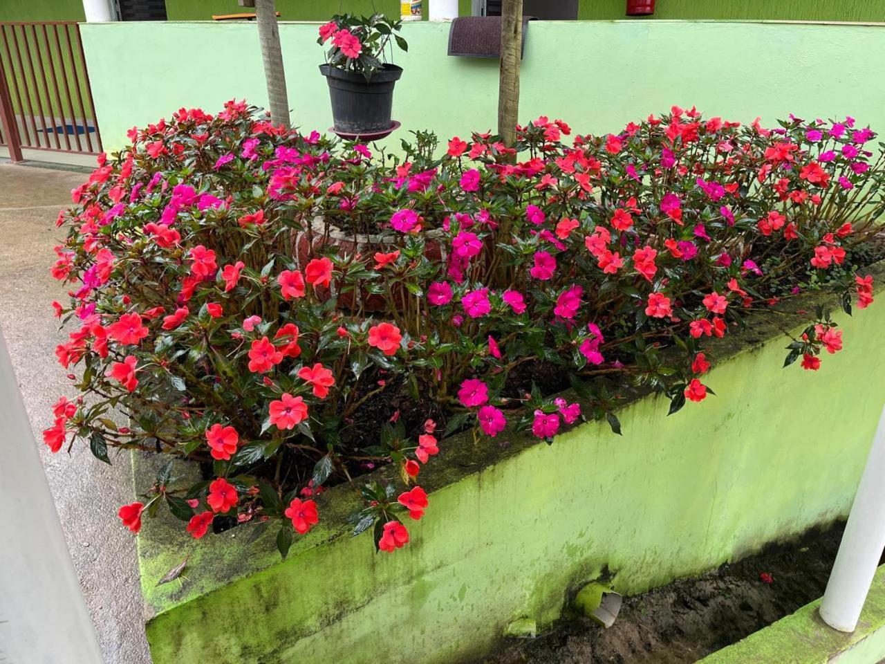 Pesqueiro Restaurante E Pousada Pingo De Ouro Piedade  Exteriör bild